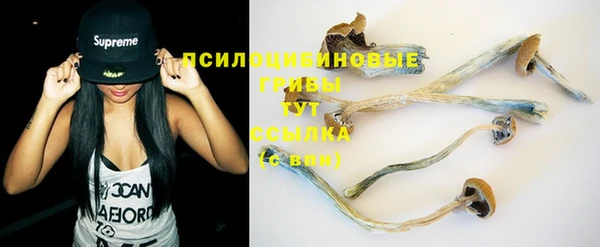 не бодяженный Горно-Алтайск