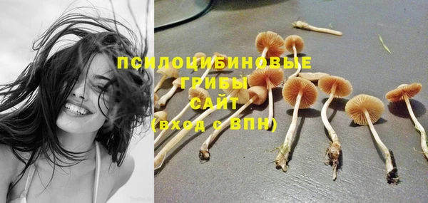 не бодяженный Горно-Алтайск