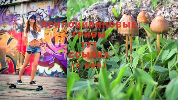 твердый Усолье-Сибирское